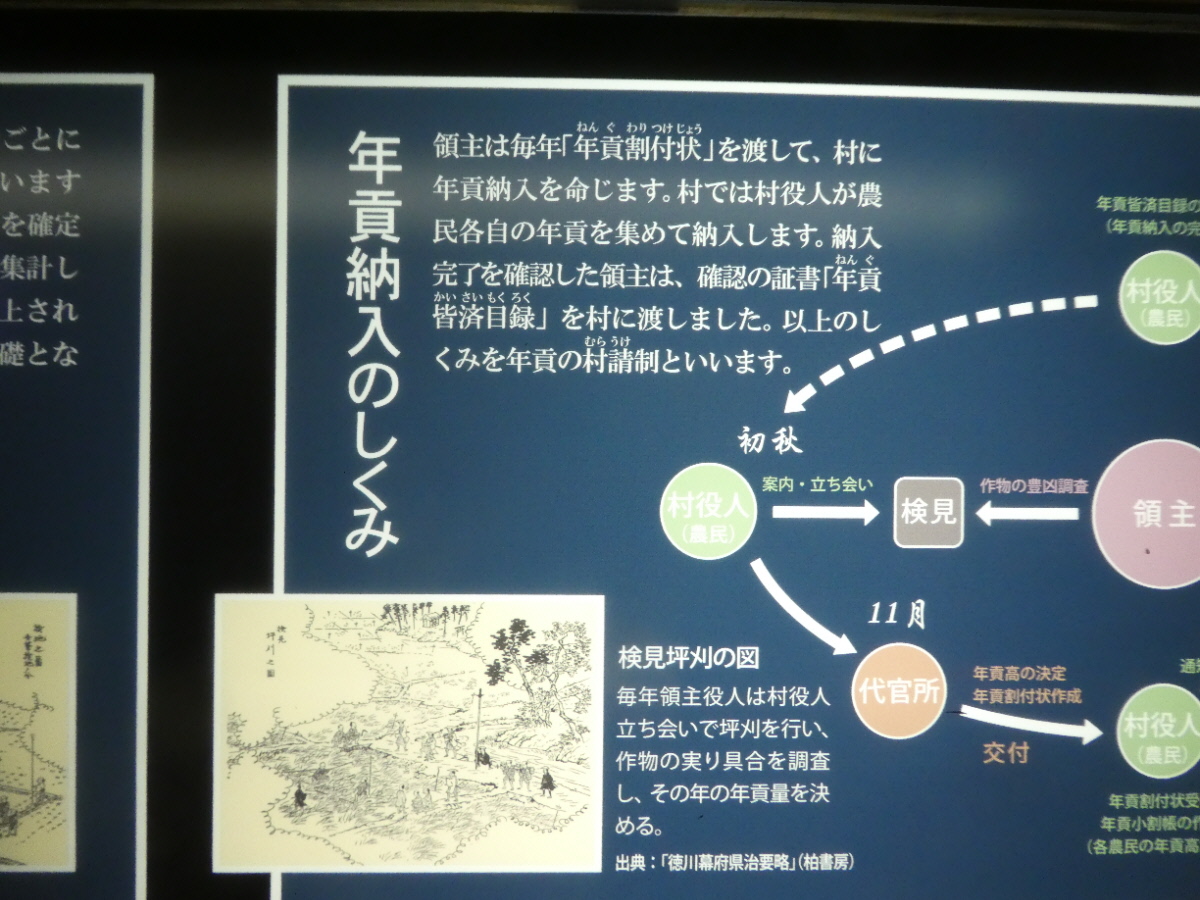 松戸市立博物館 常設展示