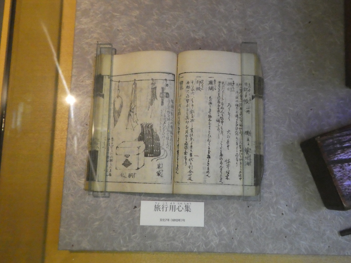 松戸市立博物館 常設展示