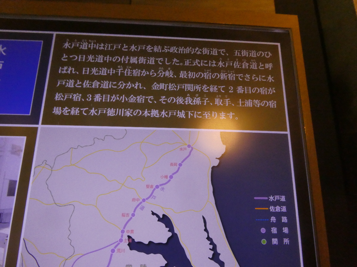 松戸市立博物館　常設展示