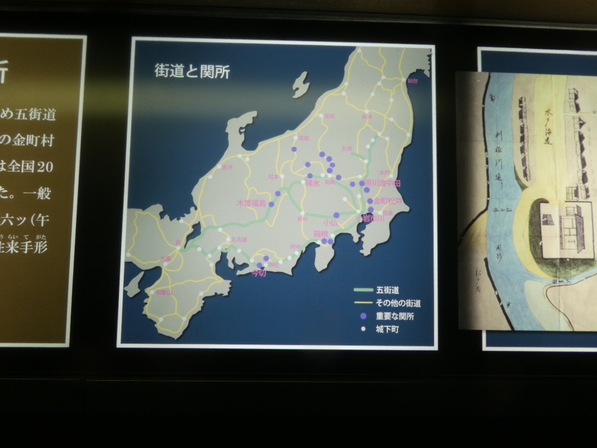 松戸市立博物館　常設展示