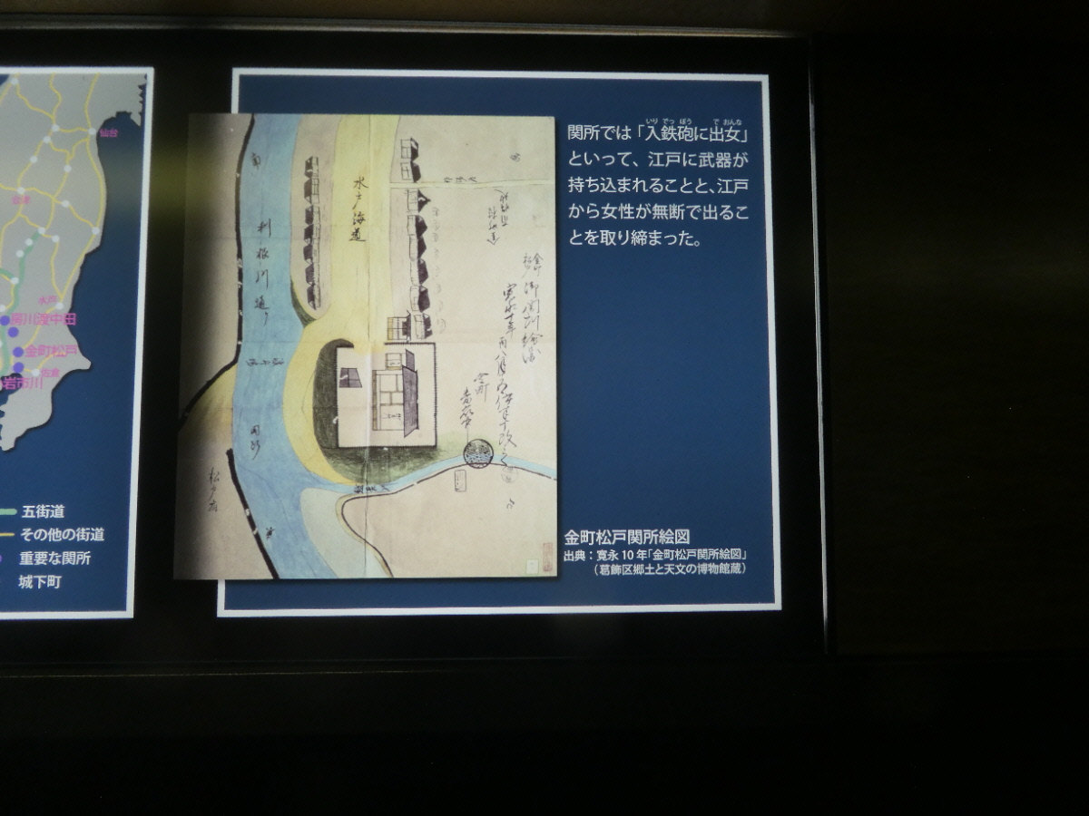 松戸市立博物館　常設展示