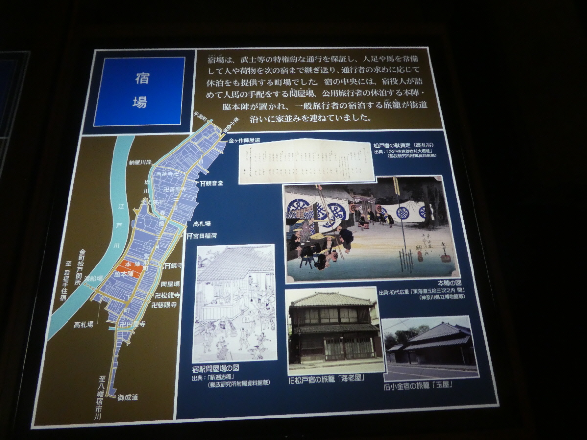 松戸市立博物館　常設展示