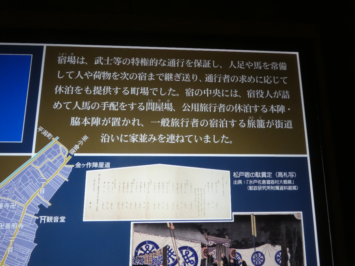 松戸市立博物館　常設展示