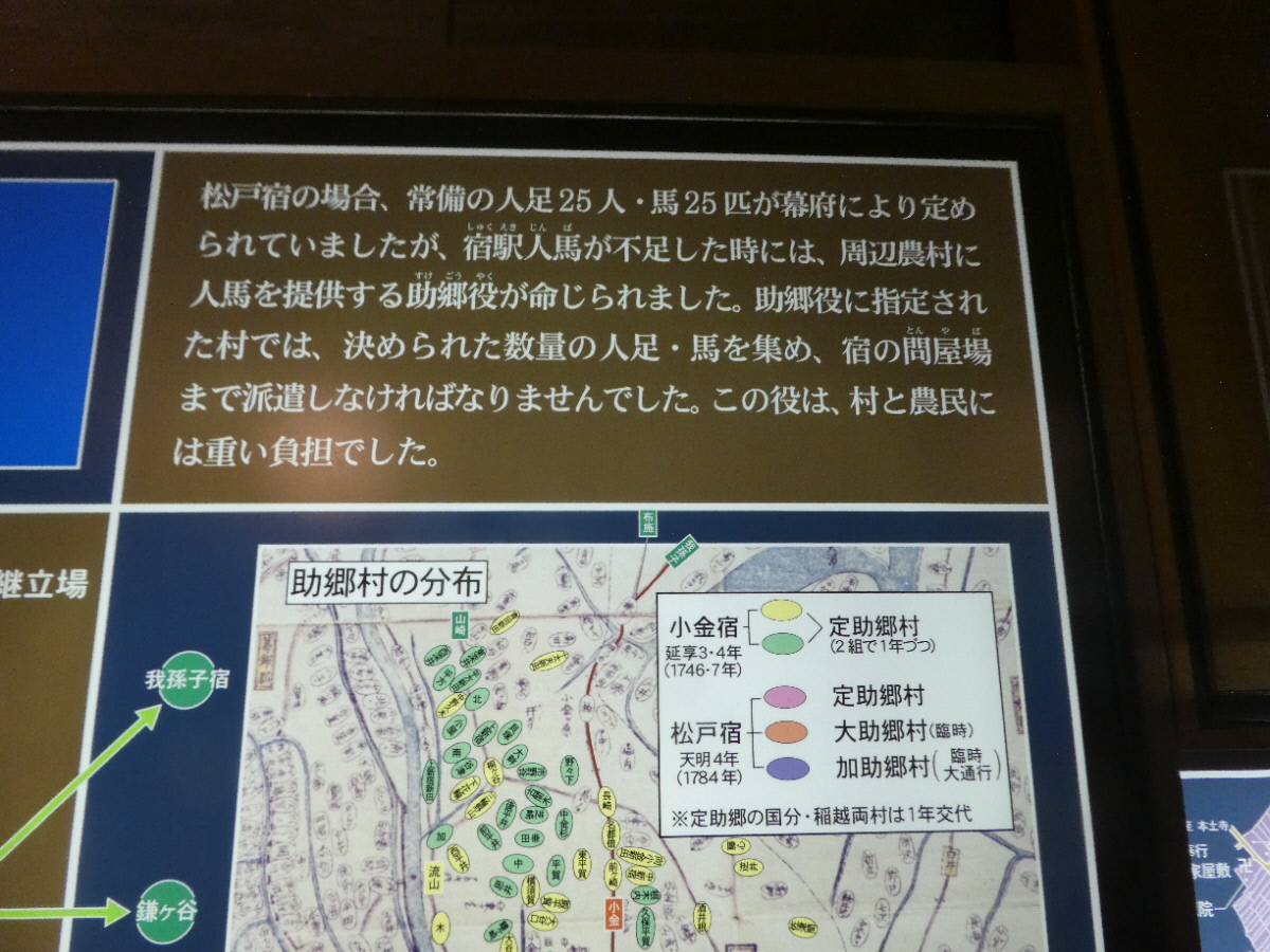 松戸市立博物館　常設展示