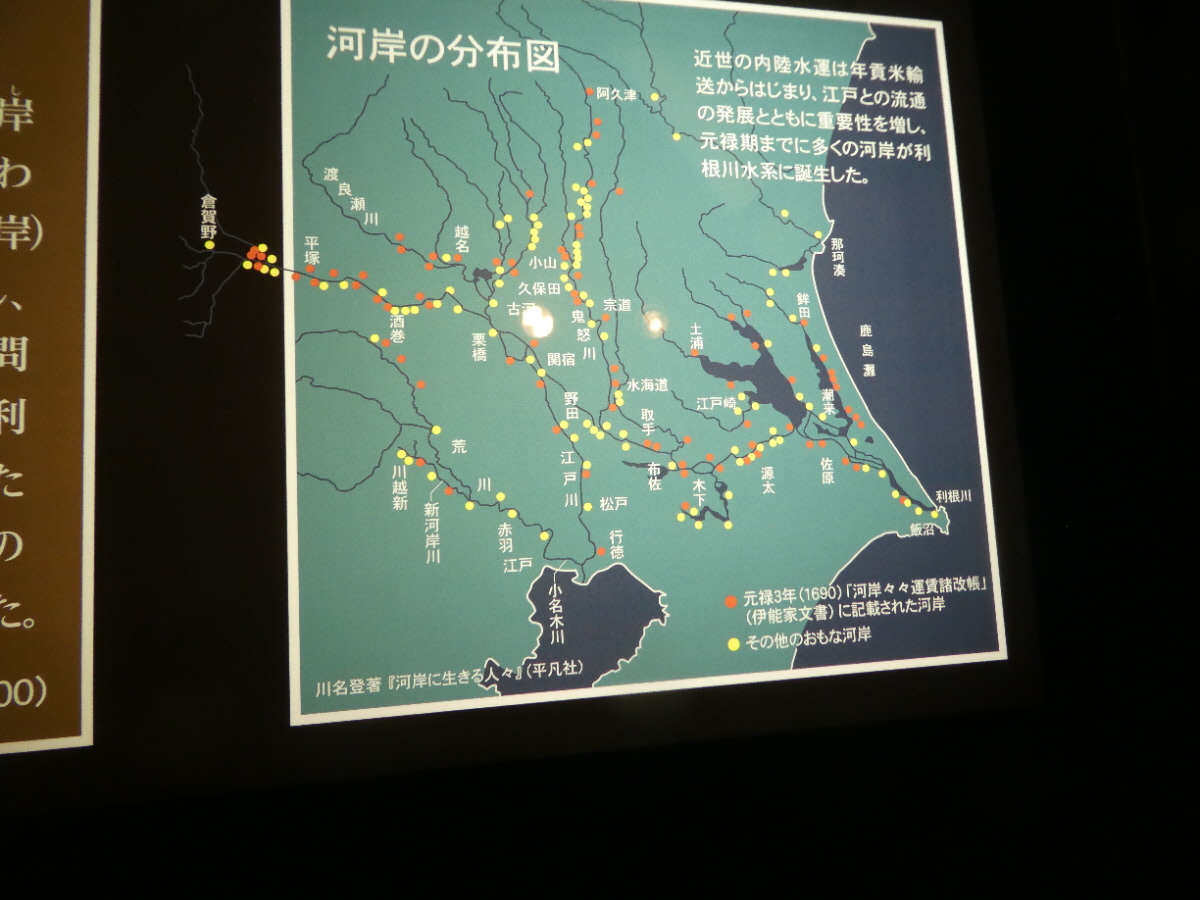 松戸市立博物館　常設展示