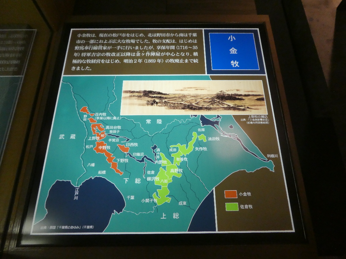 松戸市立博物館 常設展示