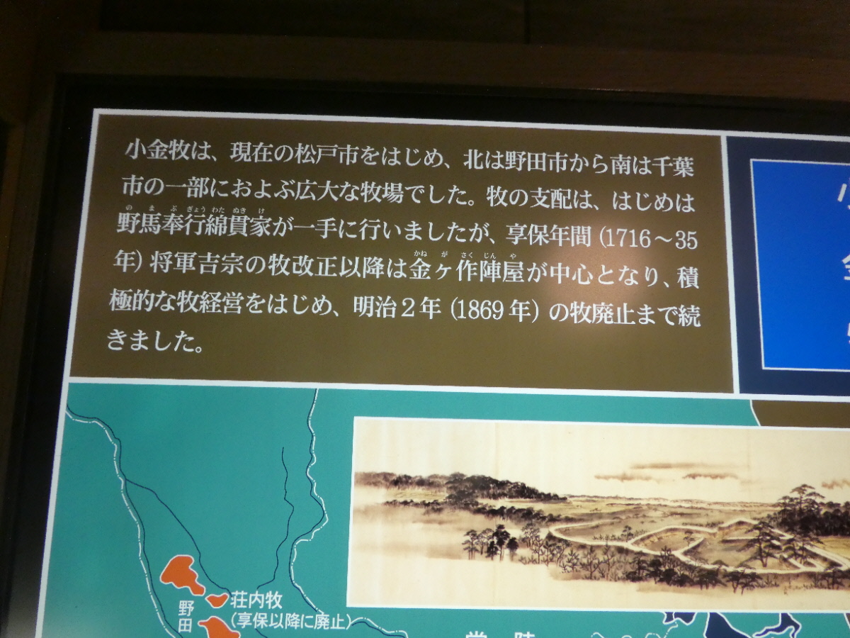 松戸市立博物館 常設展示