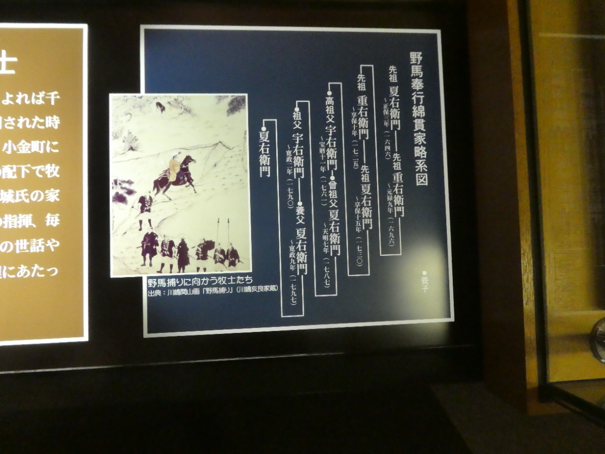 松戸市立博物館 常設展示