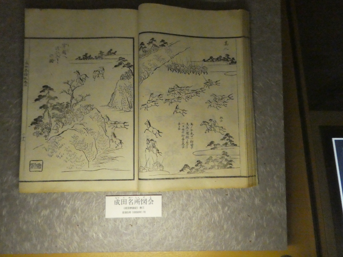 松戸市立博物館 常設展示