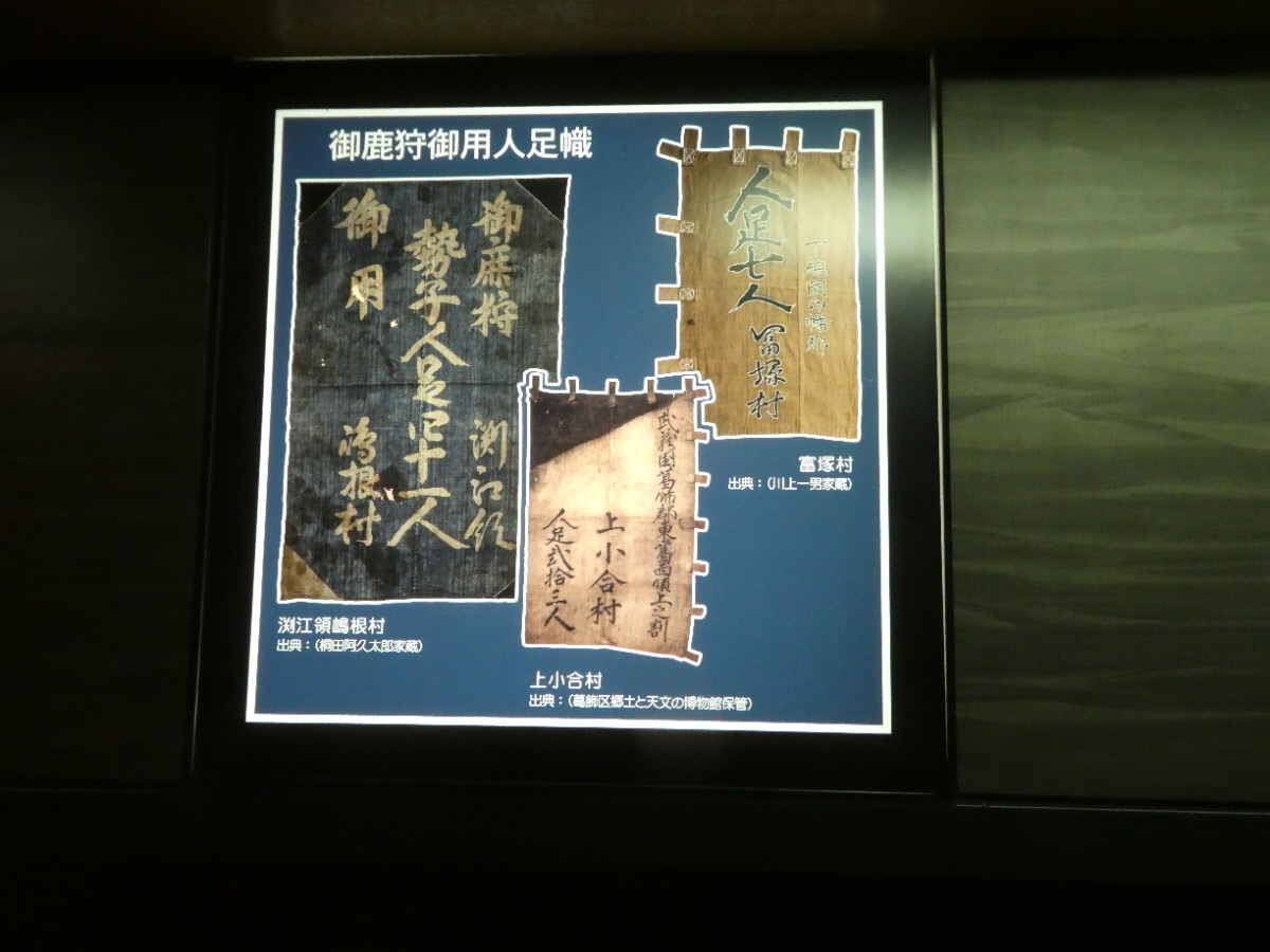 松戸市立博物館 常設展示