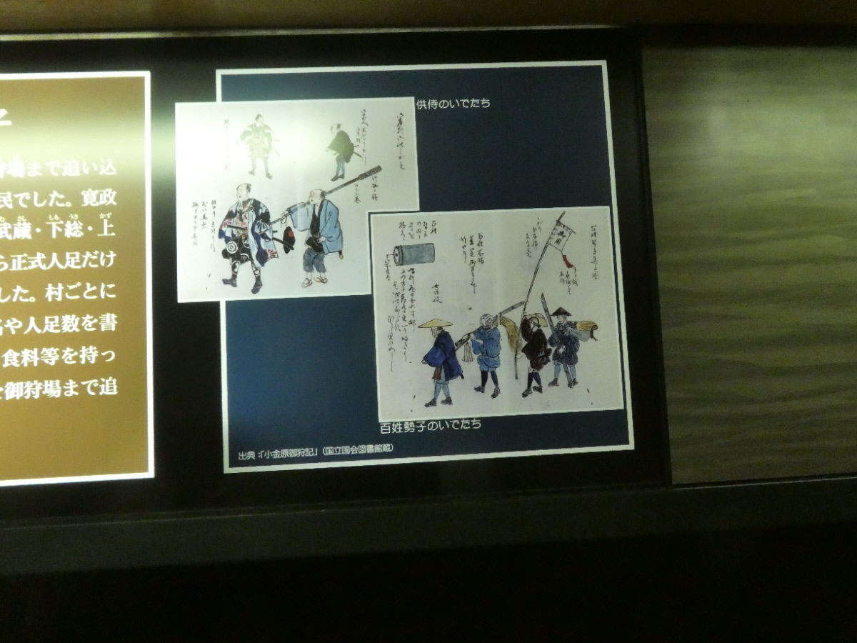 百姓勢子 松戸市立博物館 常設展示