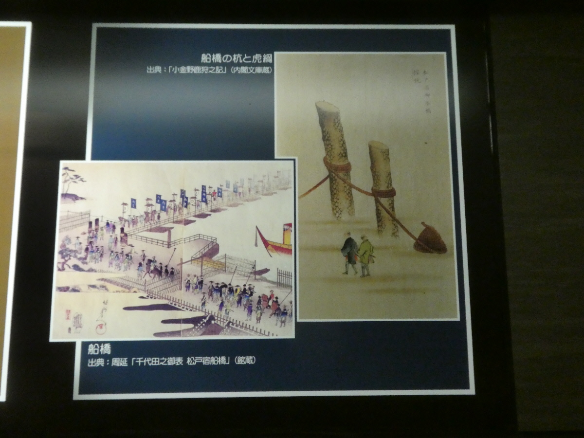 船橋用虎綱 近世(江戸時代)松戸市立博物館 常設展示