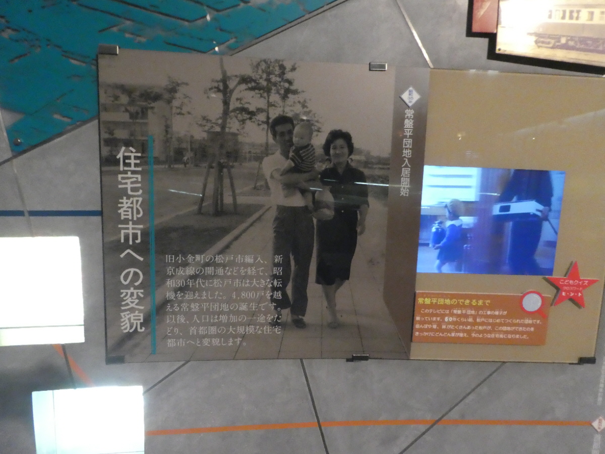 松戸市立博物館　常設展示