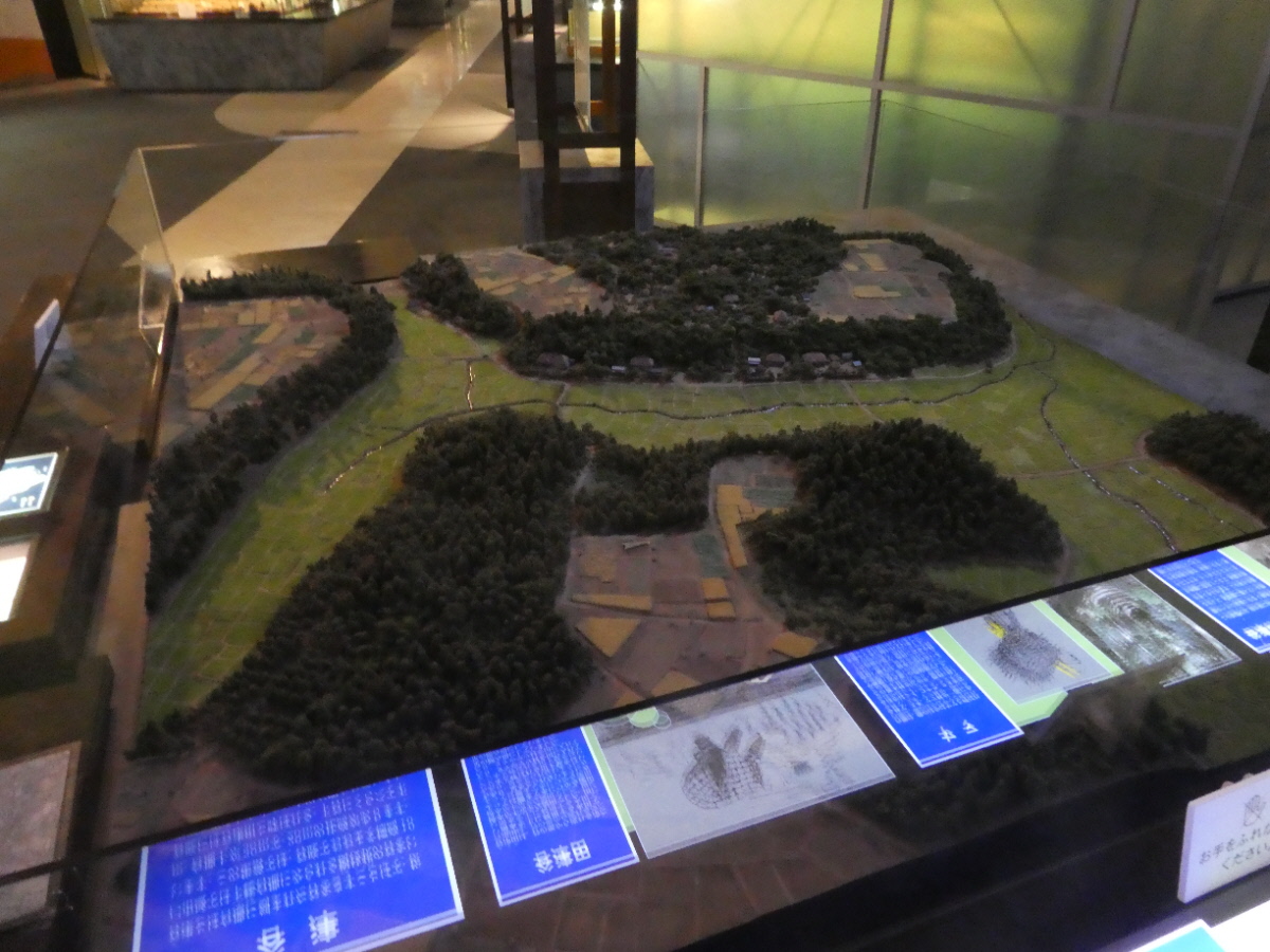 松戸市立博物館　常設展示