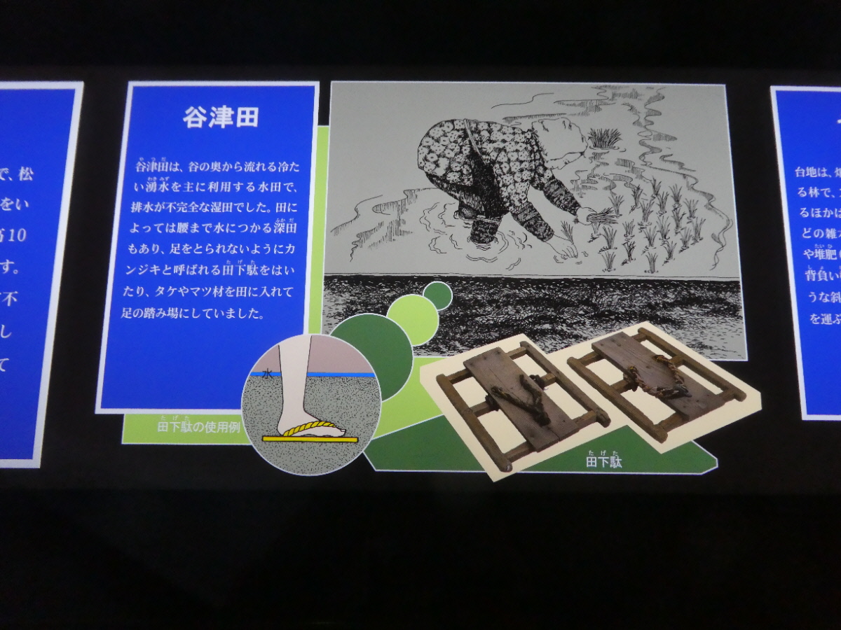 松戸市立博物館　常設展示