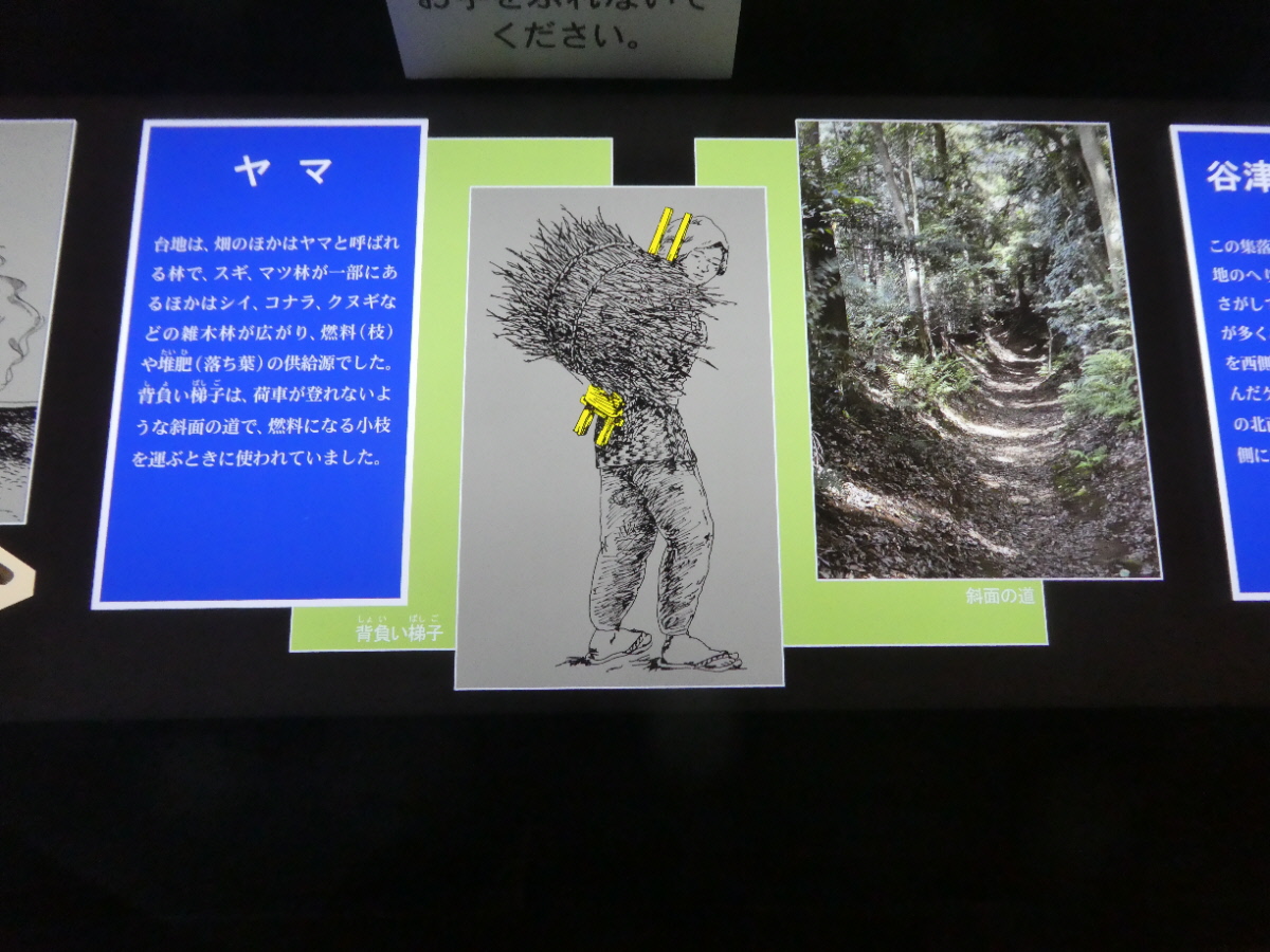 松戸市立博物館　常設展示