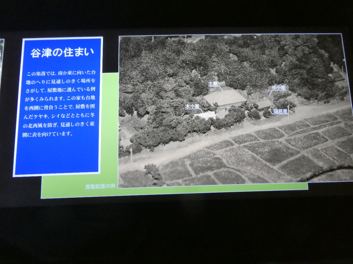 松戸市立博物館　常設展示