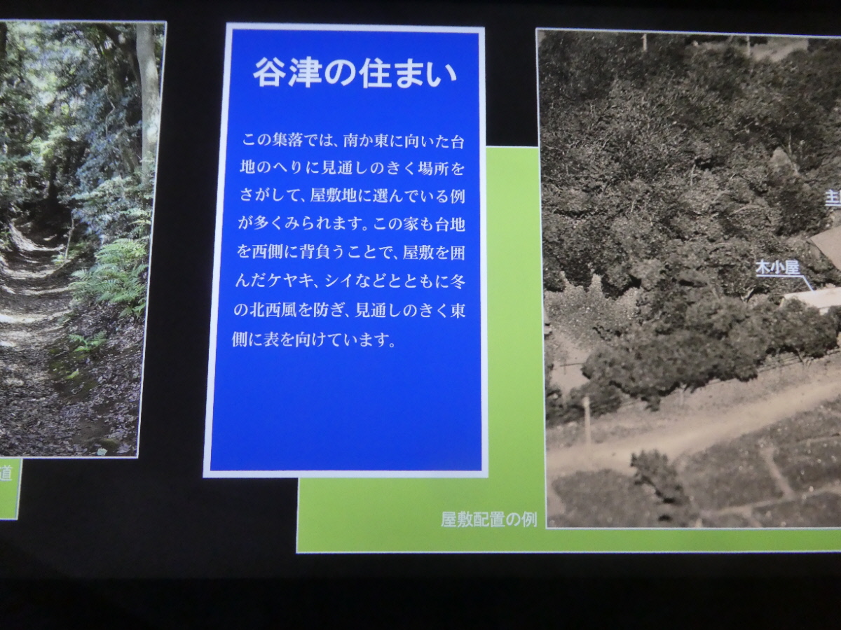 松戸市立博物館　常設展示