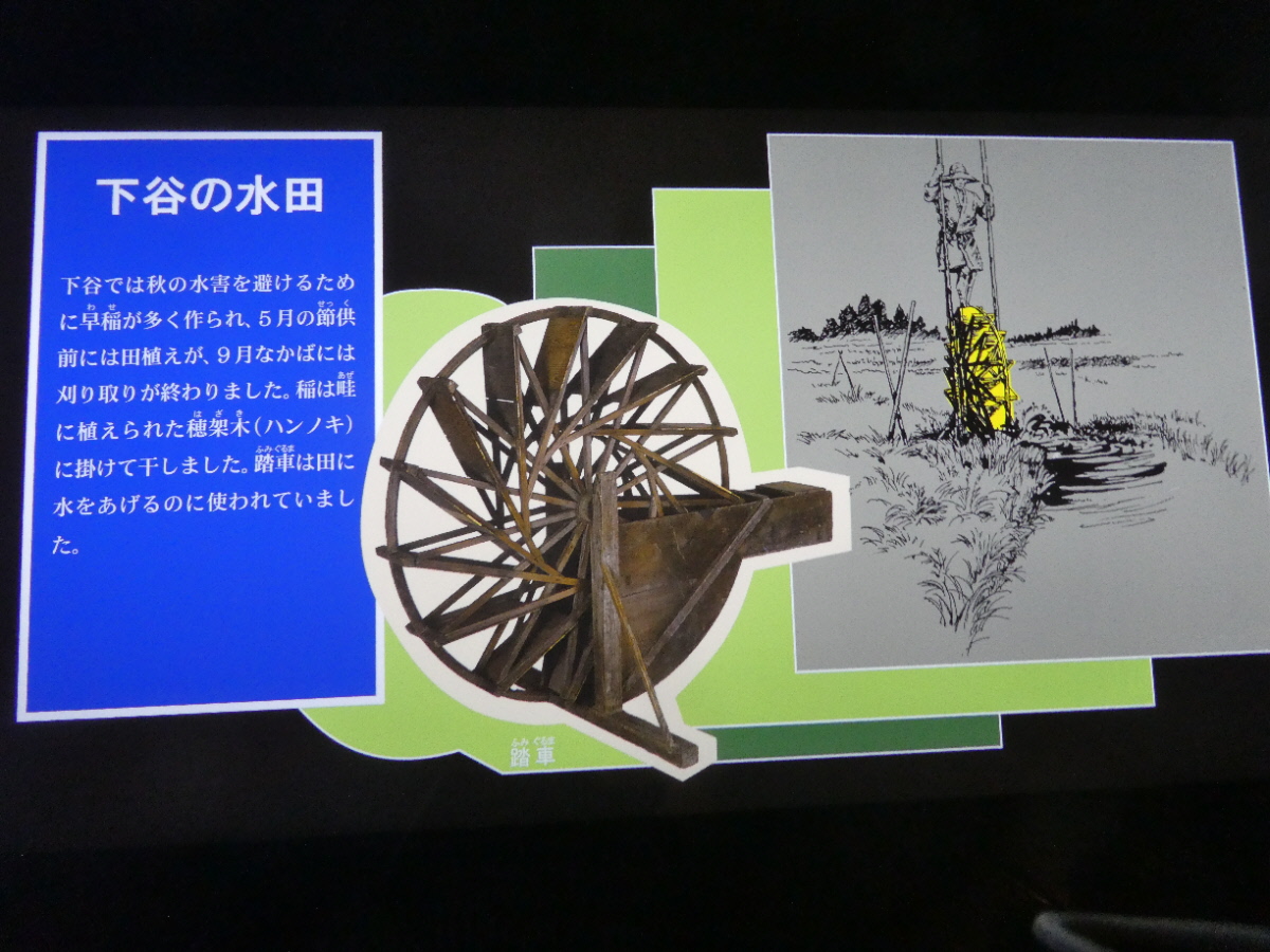 松戸市立博物館　常設展示