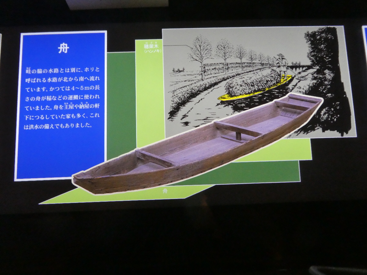 松戸市立博物館　常設展示