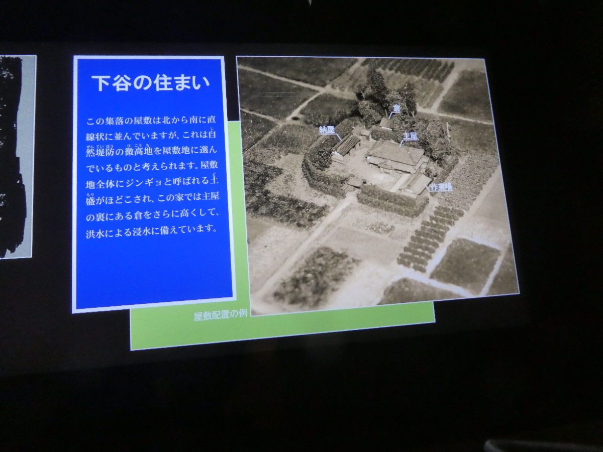 松戸市立博物館　常設展示