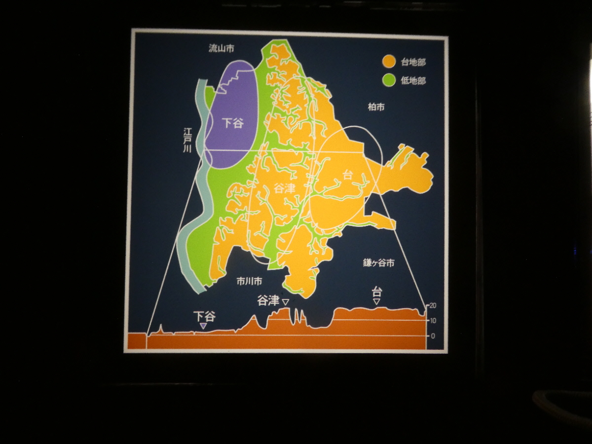 松戸市立博物館　常設展示