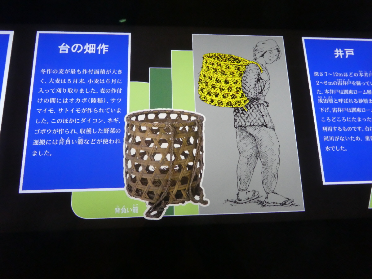 松戸市立博物館　常設展示