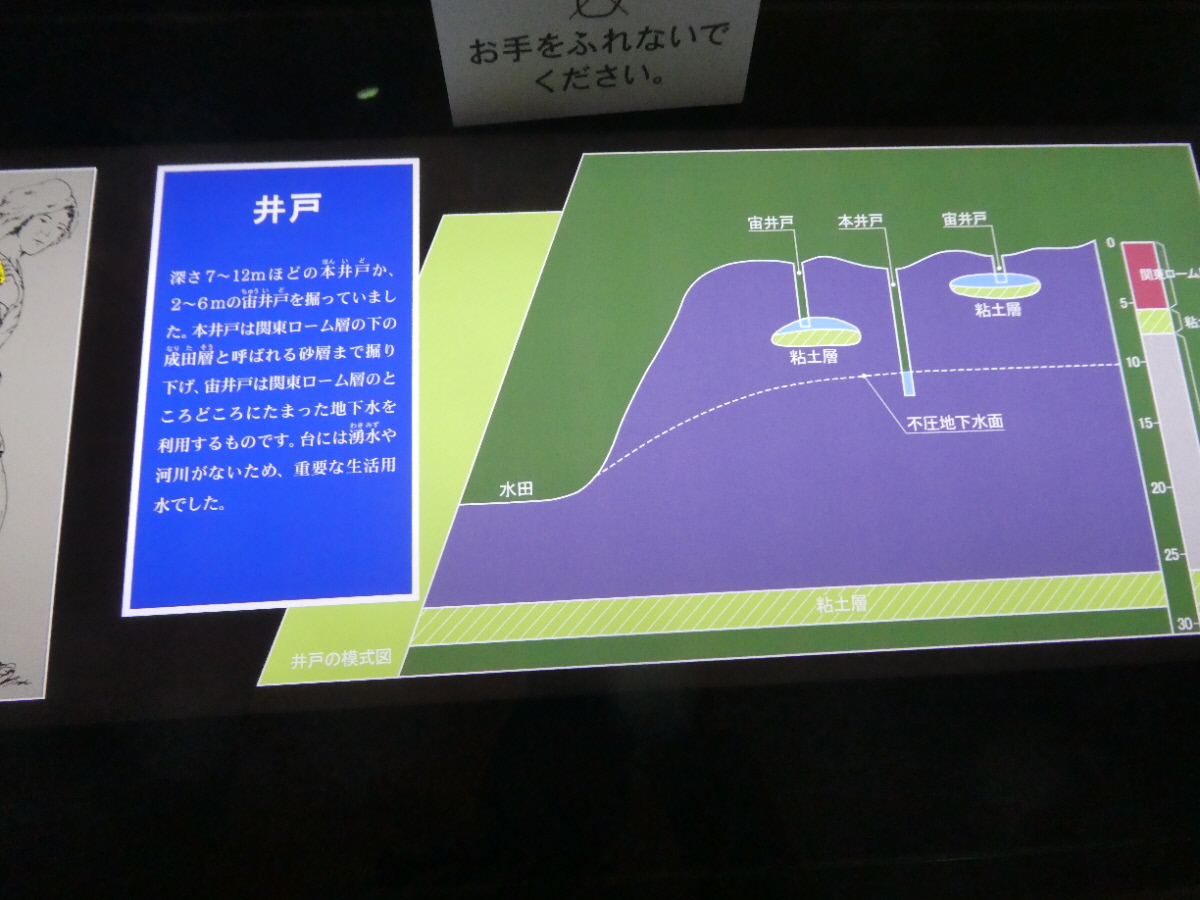 松戸市立博物館　常設展示