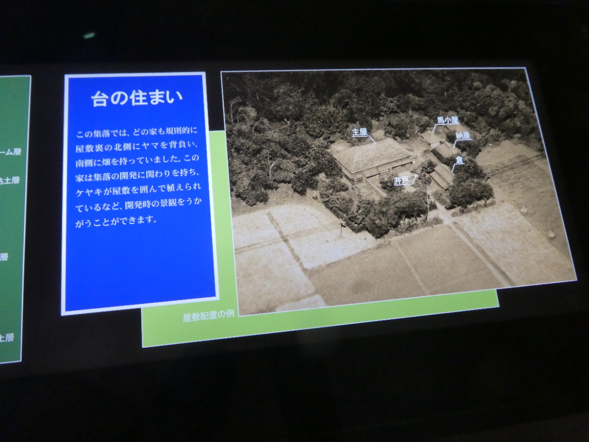 松戸市立博物館　常設展示