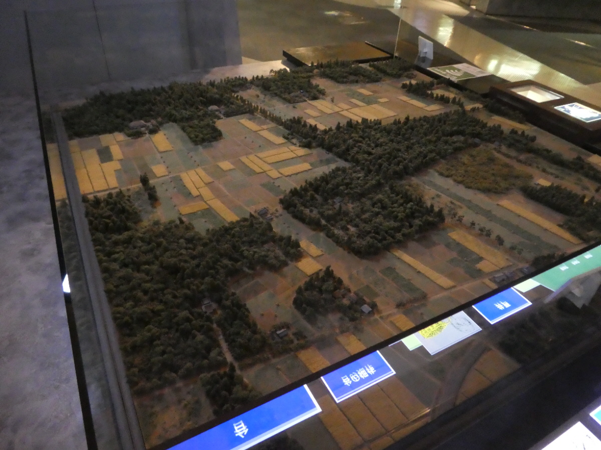 松戸市立博物館　常設展示