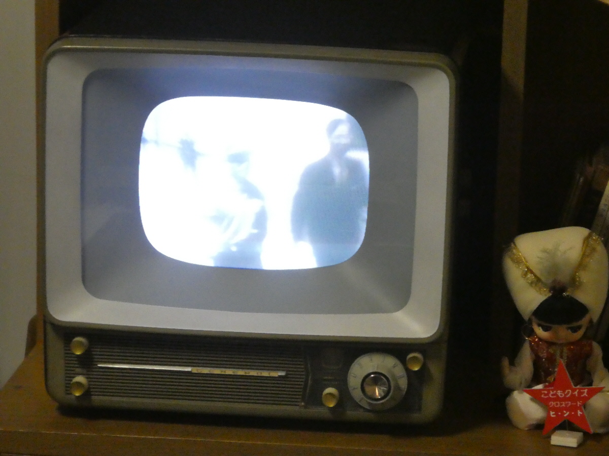 松戸市立博物館　常設展示