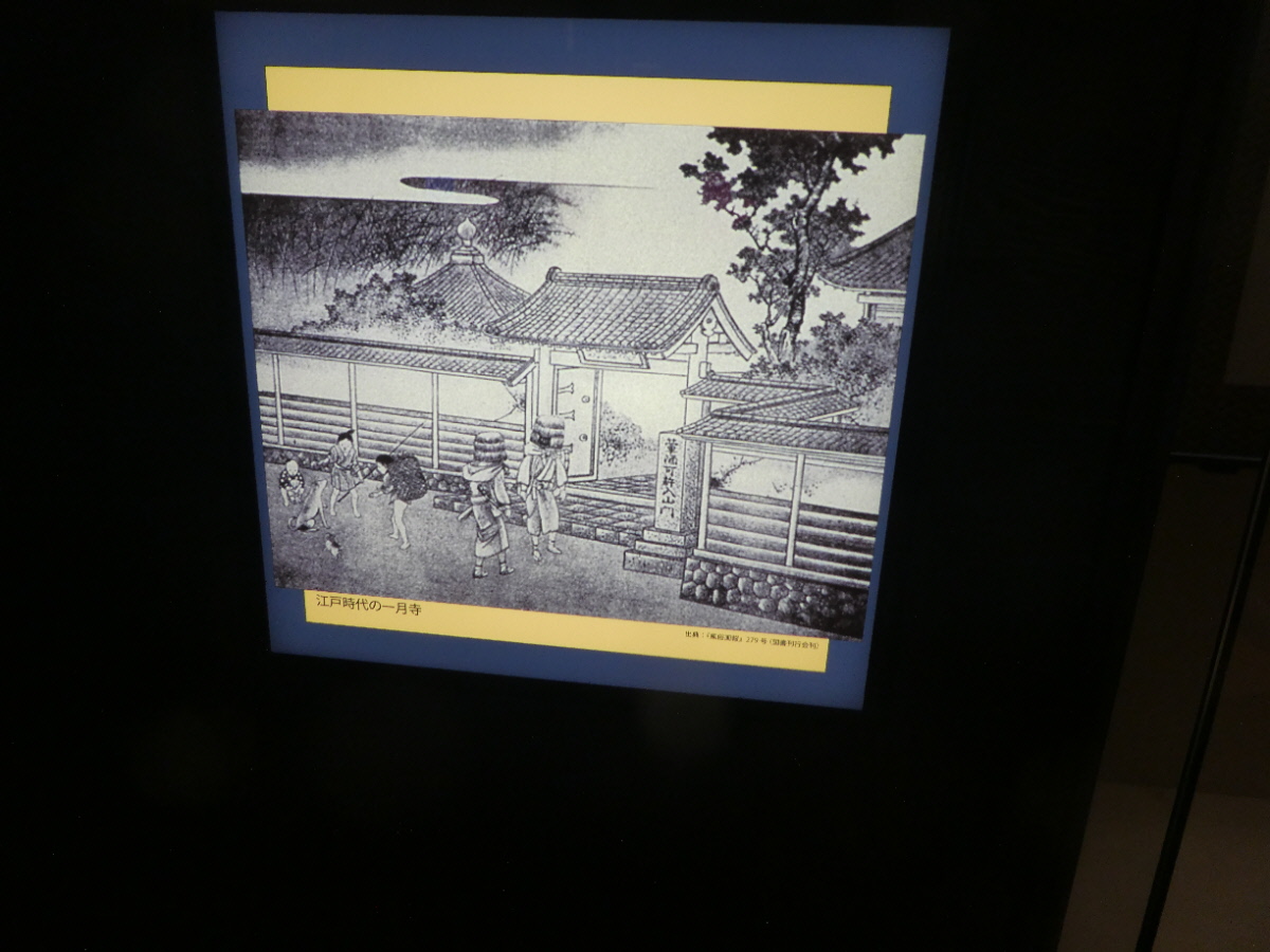 松戸市立博物館　常設展示