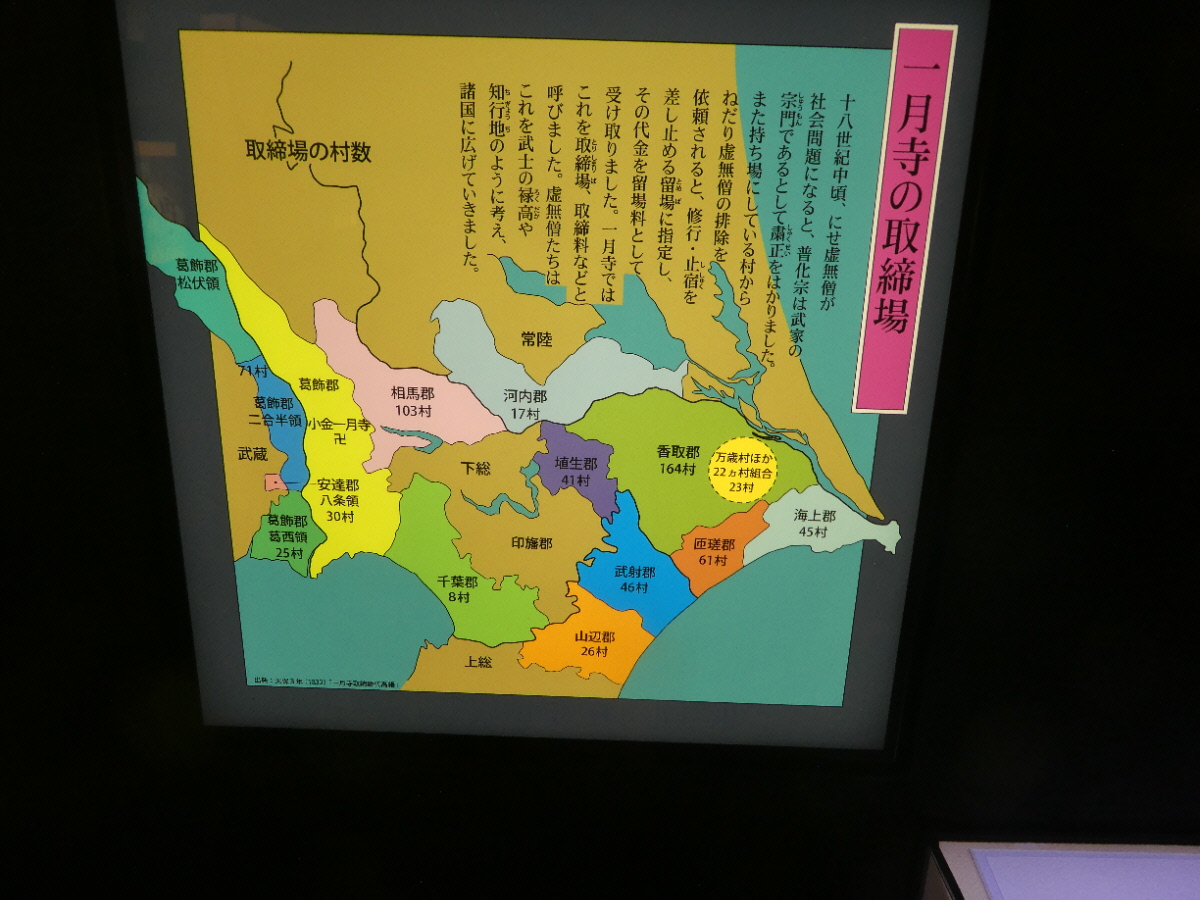 松戸市立博物館　常設展示