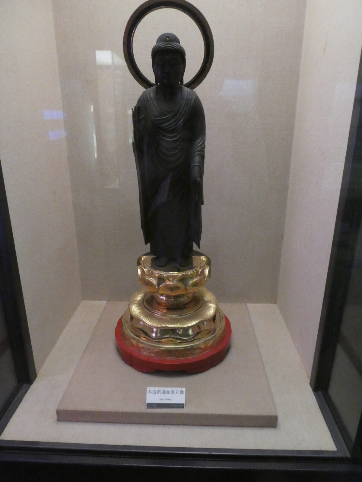 松戸市立博物館　常設展示