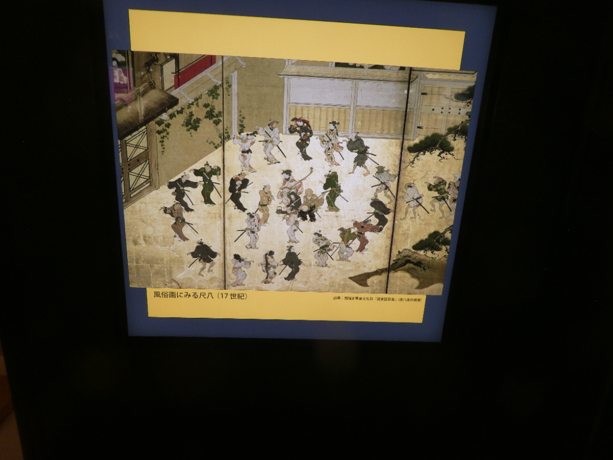 松戸市立博物館　常設展示