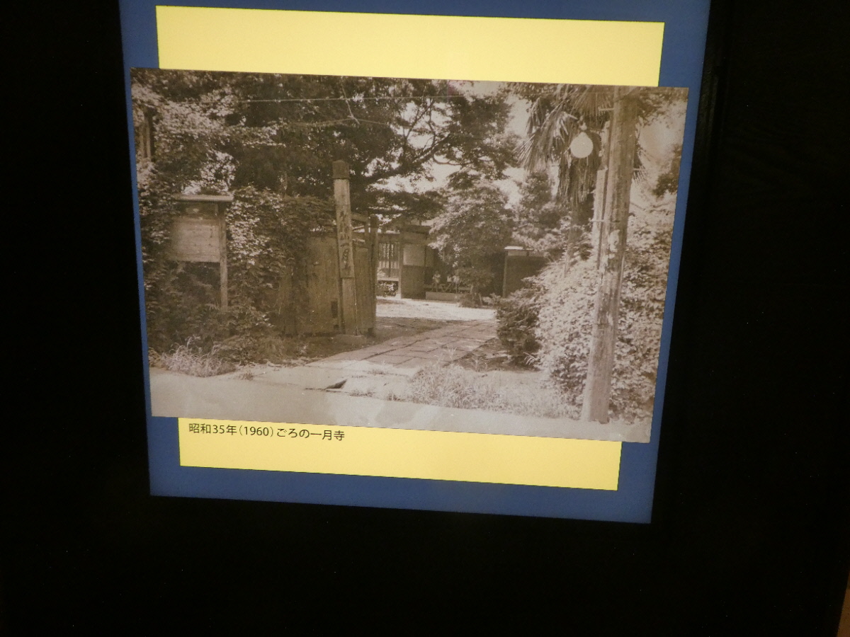 松戸市立博物館　常設展示