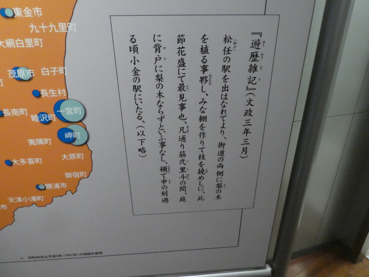 松戸市立博物館　常設展示