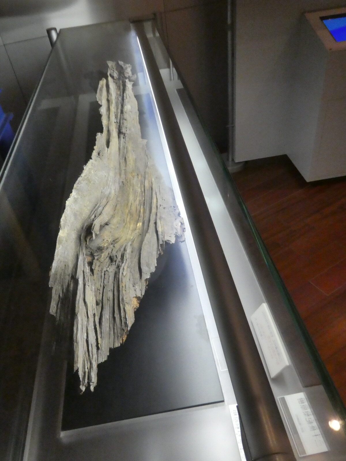 松戸市立博物館　常設展示