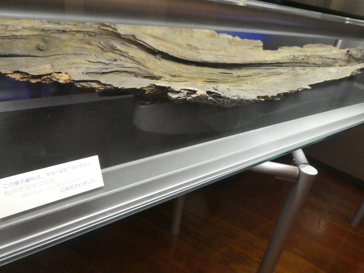 松戸市立博物館　常設展示