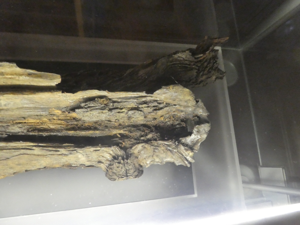 松戸市立博物館　常設展示