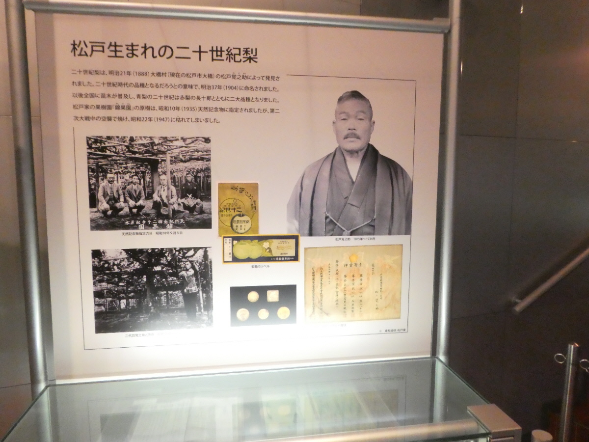 松戸市立博物館　常設展示