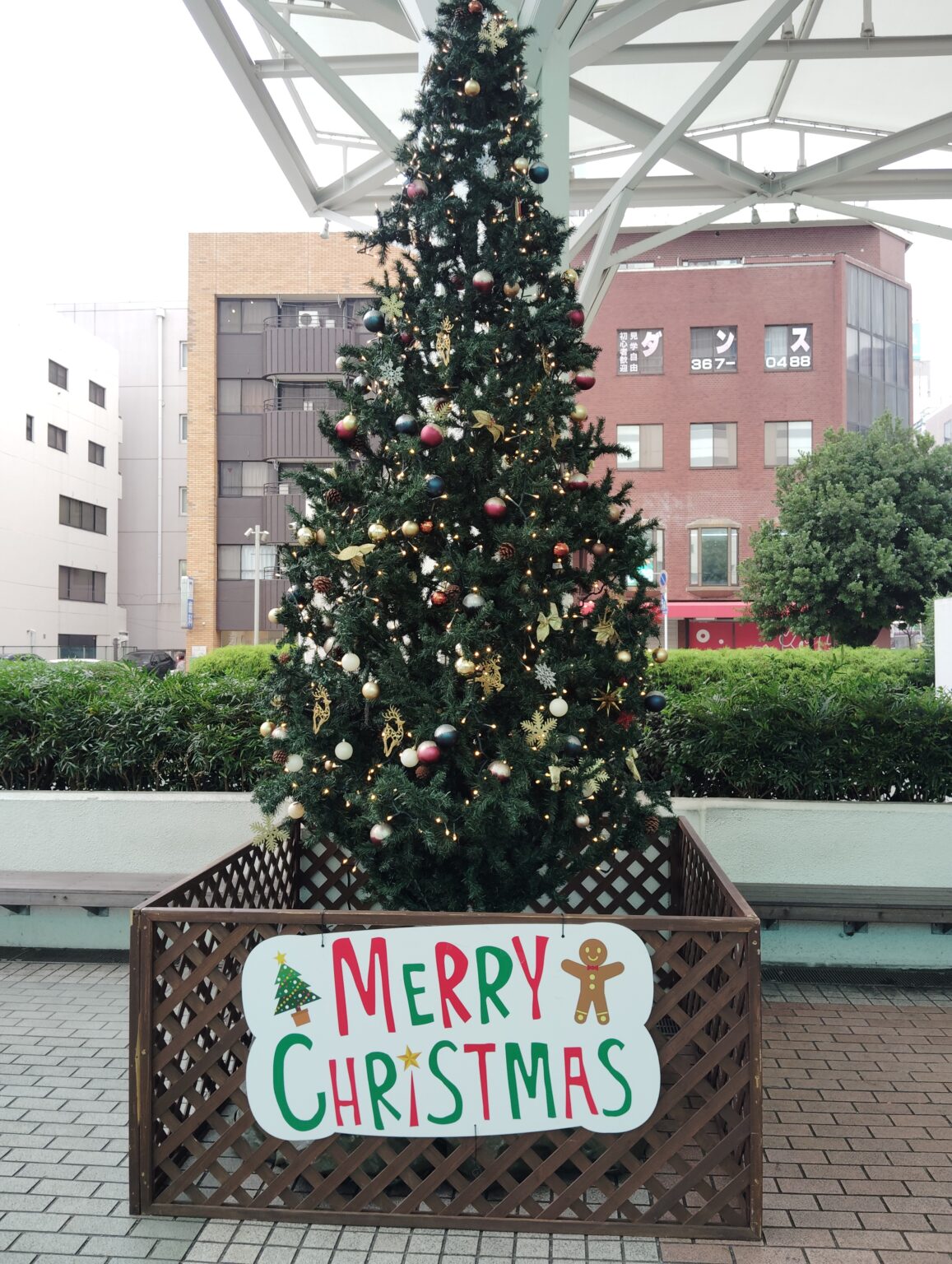 キテミテマツドのクリスマスツリー