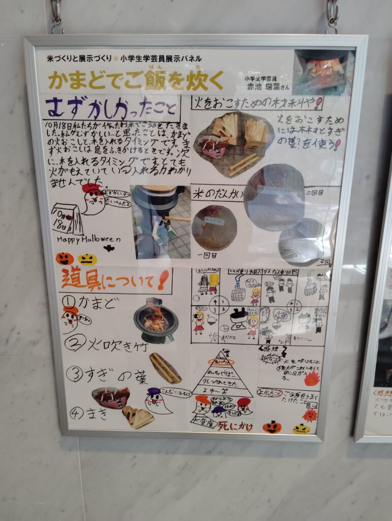 小学生学芸員体験教室展示コーナー