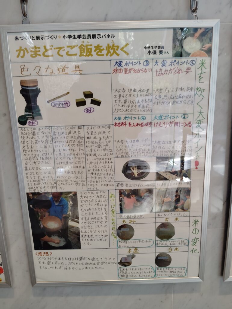 小学生学芸員体験教室展示コーナー