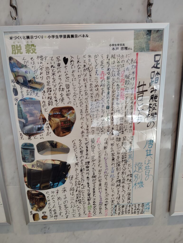 小学生学芸員体験教室展示コーナー