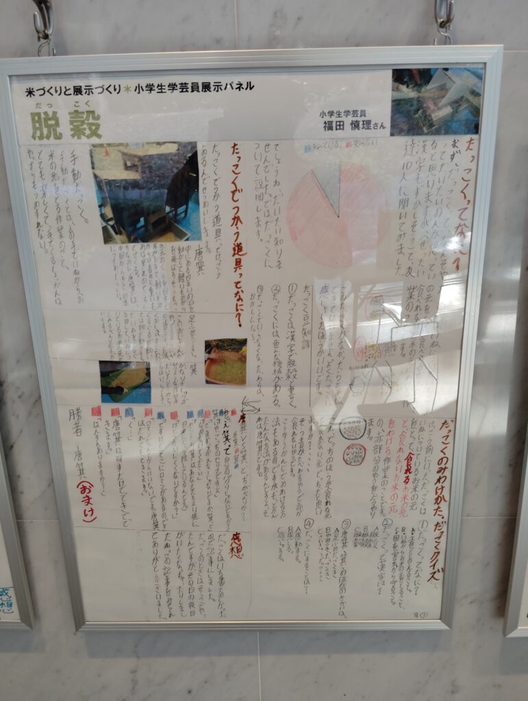 小学生学芸員体験教室展示コーナー