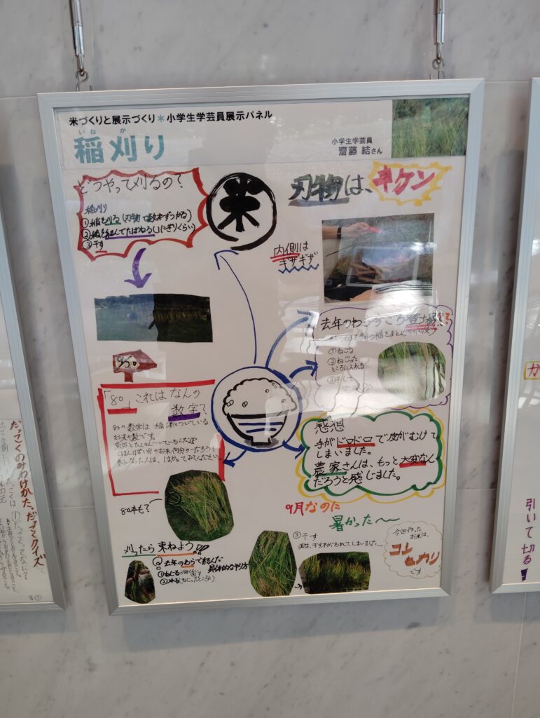 小学生学芸員体験教室展示コーナー