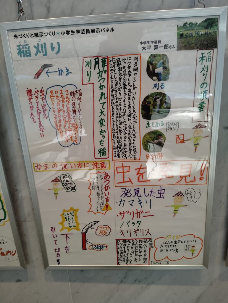 小学生学芸員体験教室展示コーナー