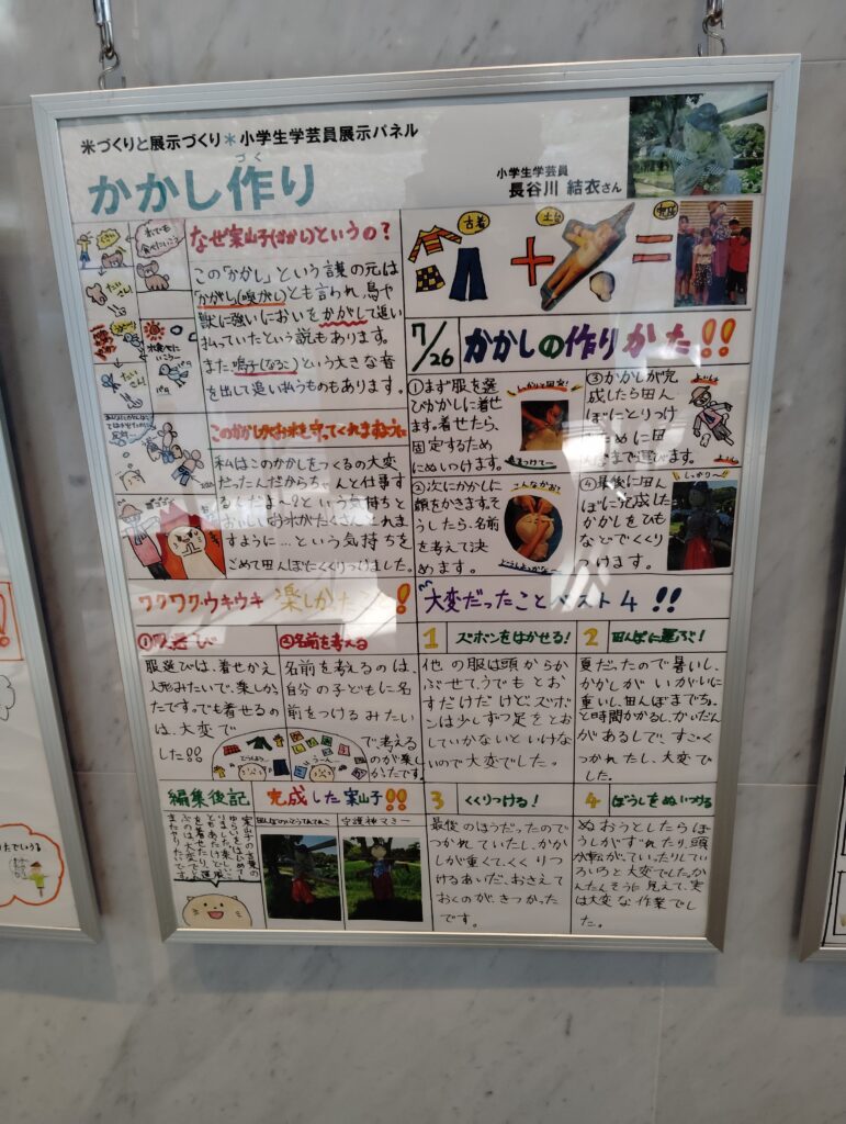 小学生学芸員体験教室展示コーナー
