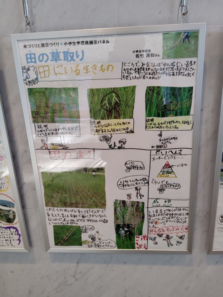 小学生学芸員体験教室展示コーナー